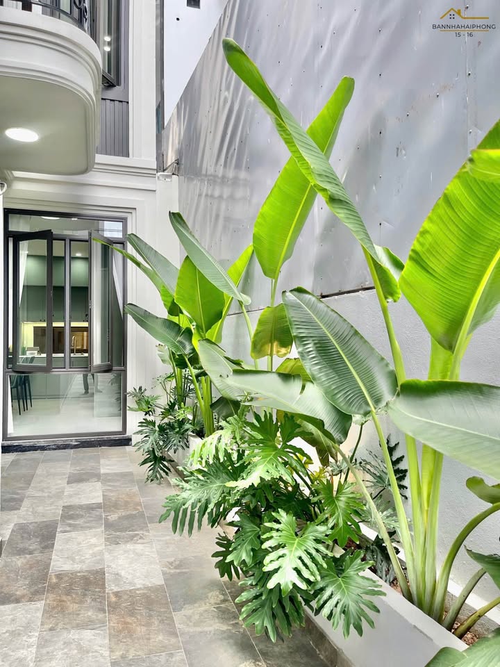 Nhà phố 4 tầng Đông Khê 55m² giá 4.85 tỷ - Ô tô tránh nhau trước cửa