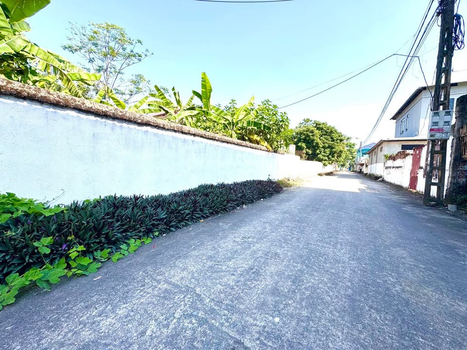 Đất nền Thanh Vân Tam Dương 100m² giá 800 triệu - Sở hữu ngay vị trí tiềm năng!