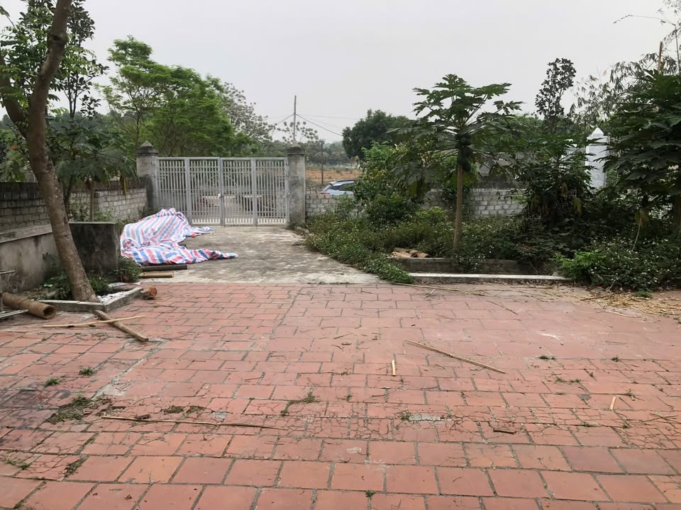 Đất thổ cư Yên Chung - Tam Quan 562m² giá 2.2 tỷ - Đầu tư sinh lời ngay!