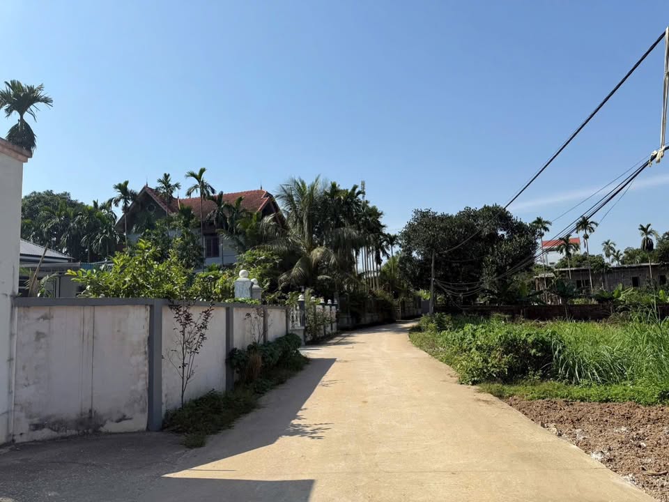 Đất nền thổ cư An Thịnh, Ba Vì 100m² giá chỉ 800 triệu - Cơ hội đầu tư hấp dẫn!