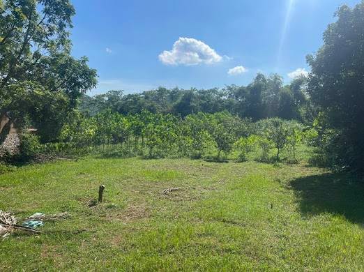 Đất nền Ba Hàng Đồi Hòa Bình 1703m² giá tốt - Tiềm năng đầu tư sinh lời!