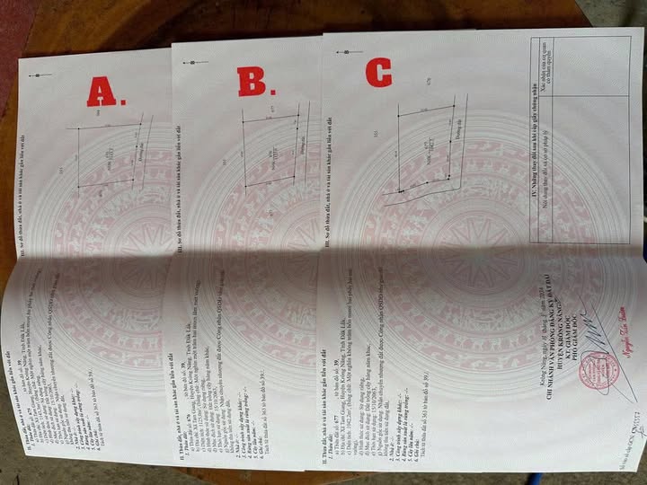 Đất nền Tam Giang 3600m² giá 229 triệu - Cách bê tông chỉ 100m!