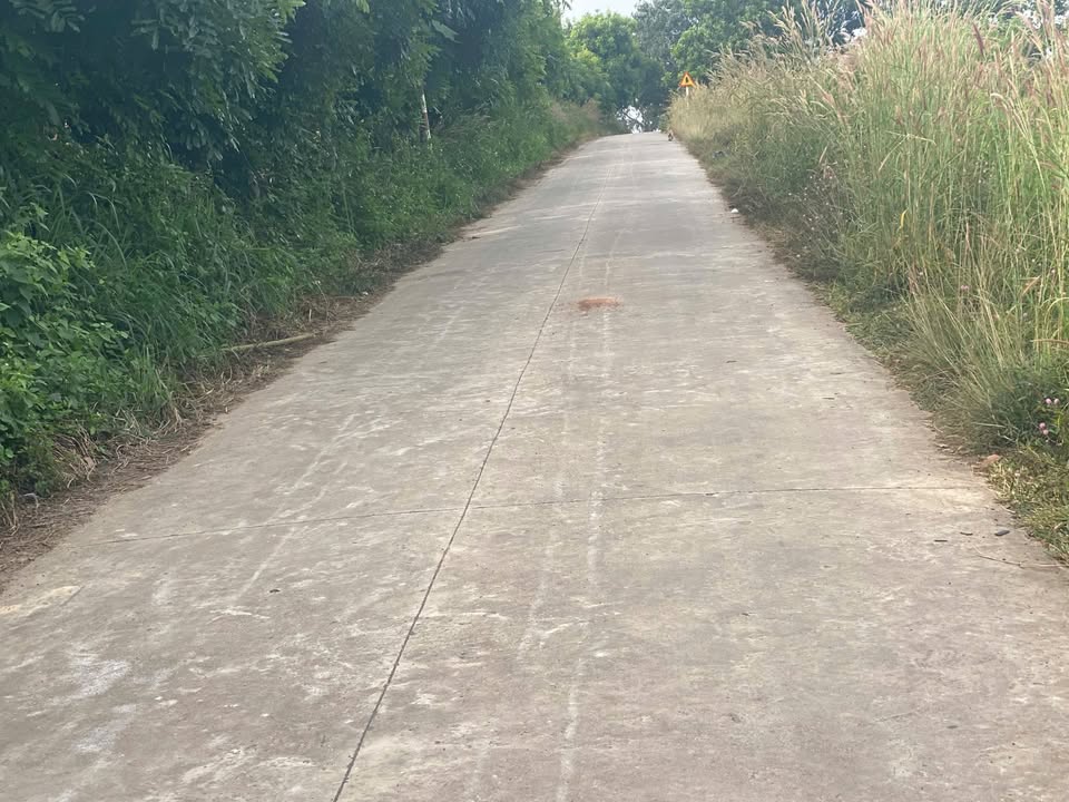 Đất nền đầu tư tại xã Phú Ngọc, Định Quán - 2,4ha giá chỉ 11 tỷ!