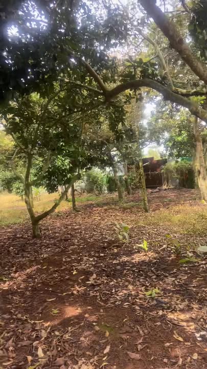 Đất vườn 3600m² tại Bảo Bình, Cẩm Mỹ - Giá chỉ 1.615 tỷ, sẵn sàng giao dịch!