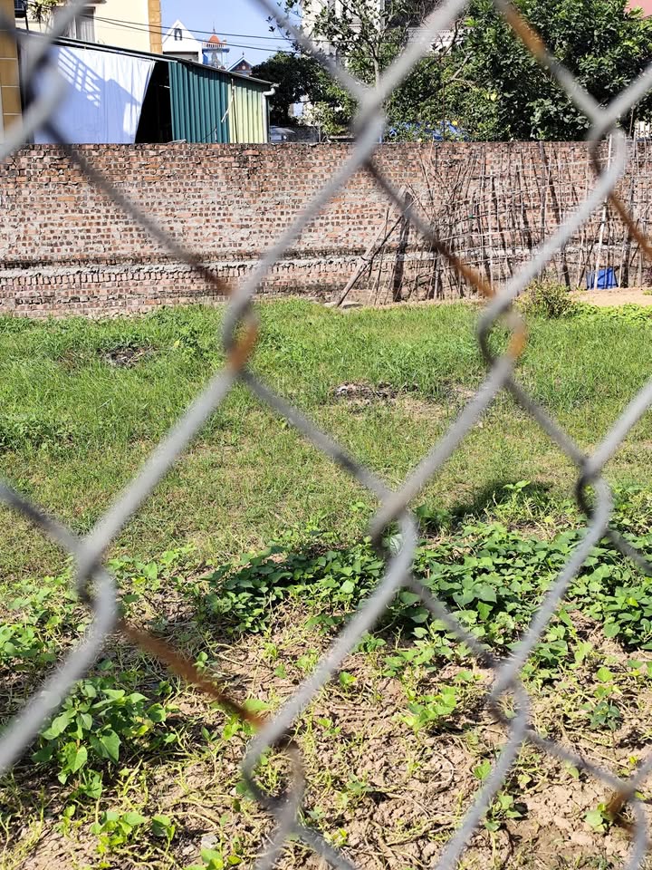 Đất Bích Hòa Thanh Oai 42m² giá 3.45 tỷ - Gần trục chính xe tải thông