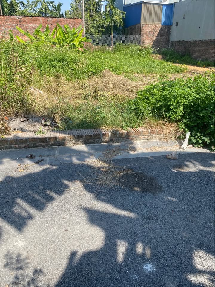 Đất nền thôn Đình Trung, Đông Anh 58.4m² - Đường ô tô thông thoáng, giá trị tăng cao!