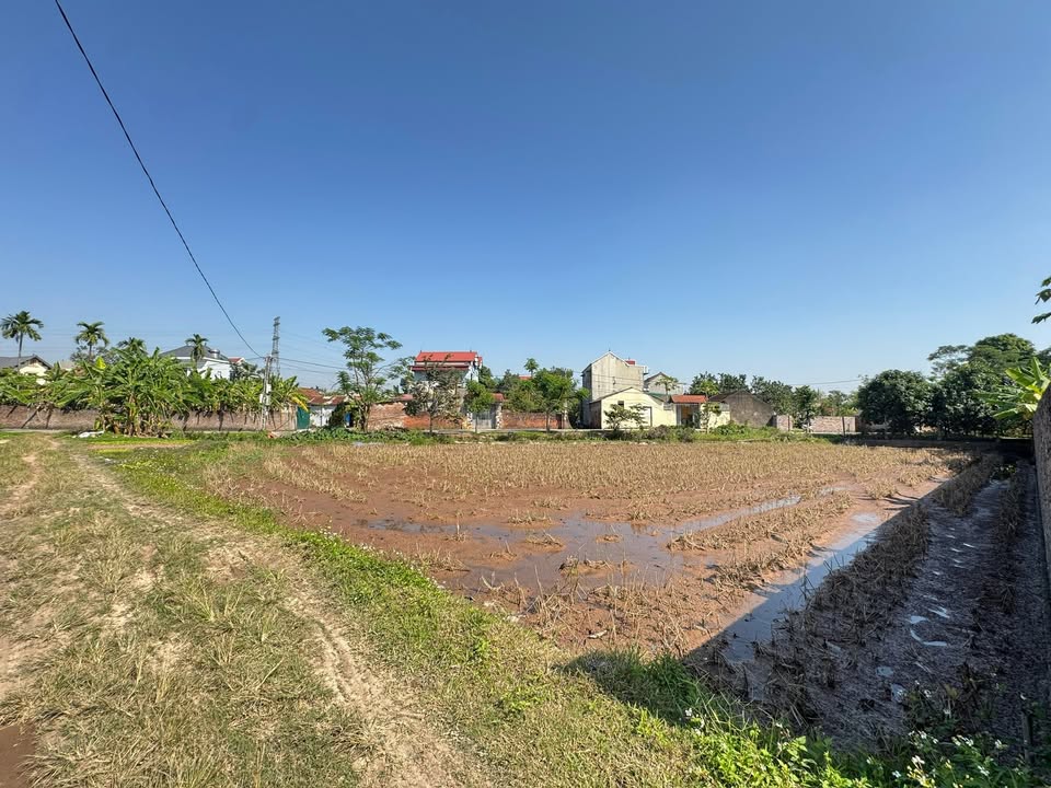 Đất nền Thượng Vực, Chương Mỹ 1022m² giá chỉ 1.022 tỷ - Đầu tư sinh lời ngay!