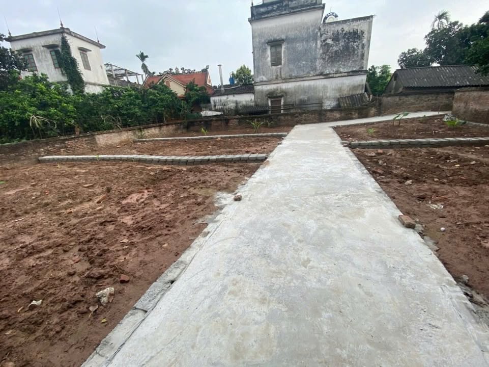 Đất nền xóm 3 Tự Nhiên, Thường Tín 41m² giá 2.x tỷ - Cơ hội đầu tư hấp dẫn!