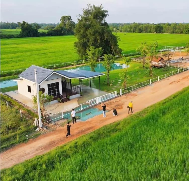 Đất nền 100m² thổ cư Phú Điền, Hàm Hiệp giá 400 triệu - Chính chủ sang nhượng!