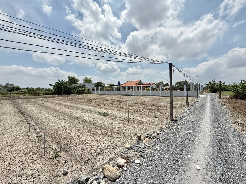 Đất vườn Mỹ Lộc 500m² giá thỏa thuận - Không quy hoạch, tiện ích đầy đủ!