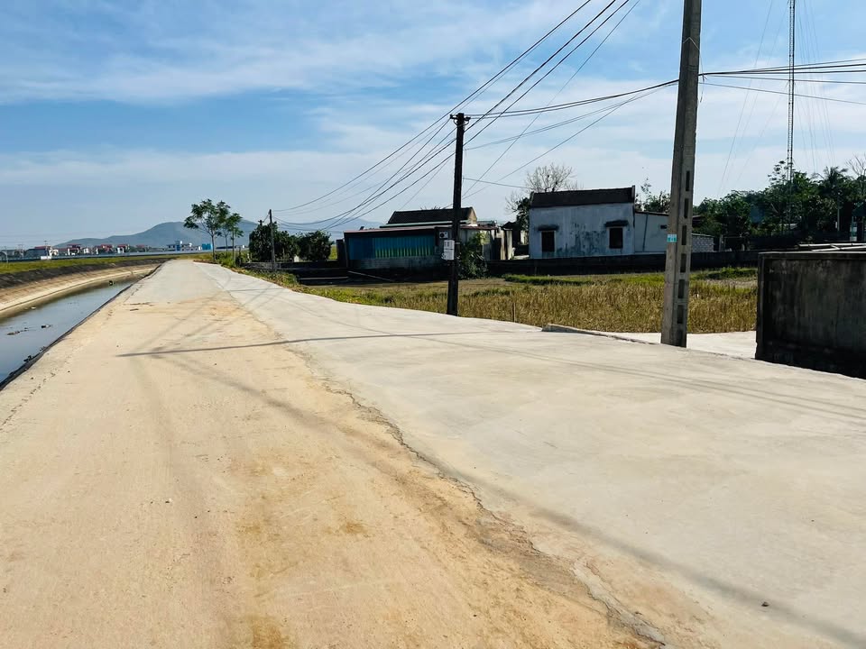 Đất nền 230m² tại xã Thăng Long, Nông Cống - Vị trí đắc địa, gần chợ!