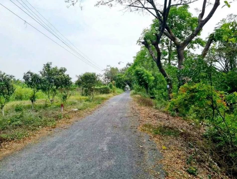 Đất nền 872m² đường Tăng Bạt Hổ, An Giang - Chỉ 1 tỷ, đầu tư sinh lời cao!