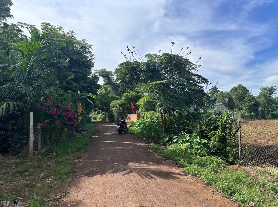 Đất mặt tiền đường nhựa Phường Ea Kao 1520m² giá 4 tỷ - Đầu tư sinh lời ngay!