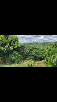 Đất nền 5 sào thôn 5, xã Trường Xuân, Đắk Song - Giá 1.08 tỷ, pháp lý rõ ràng!