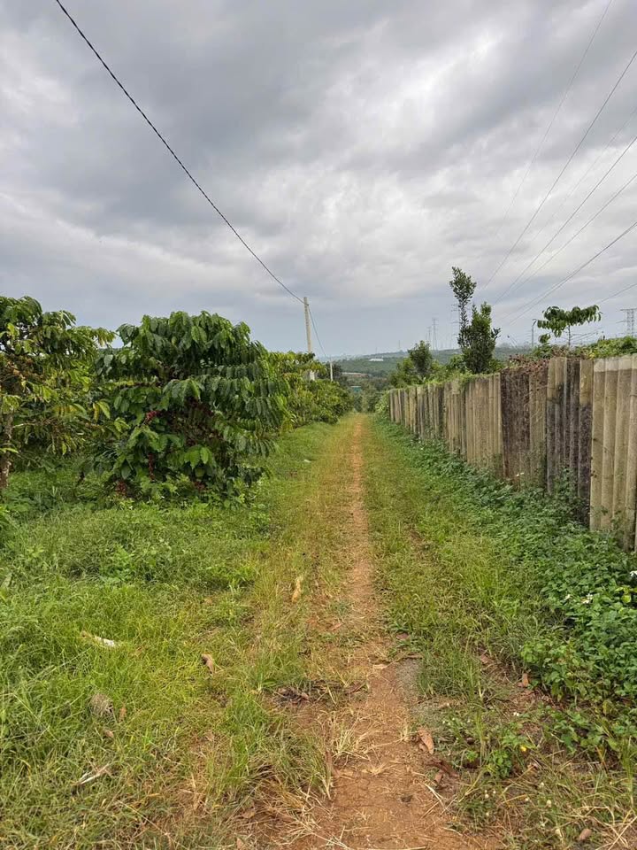 Đất thổ cư 2.7 sào tại Lộc An, Bảo Lâm giá 2.3 tỷ - Cơ hội đầu tư tuyệt vời!