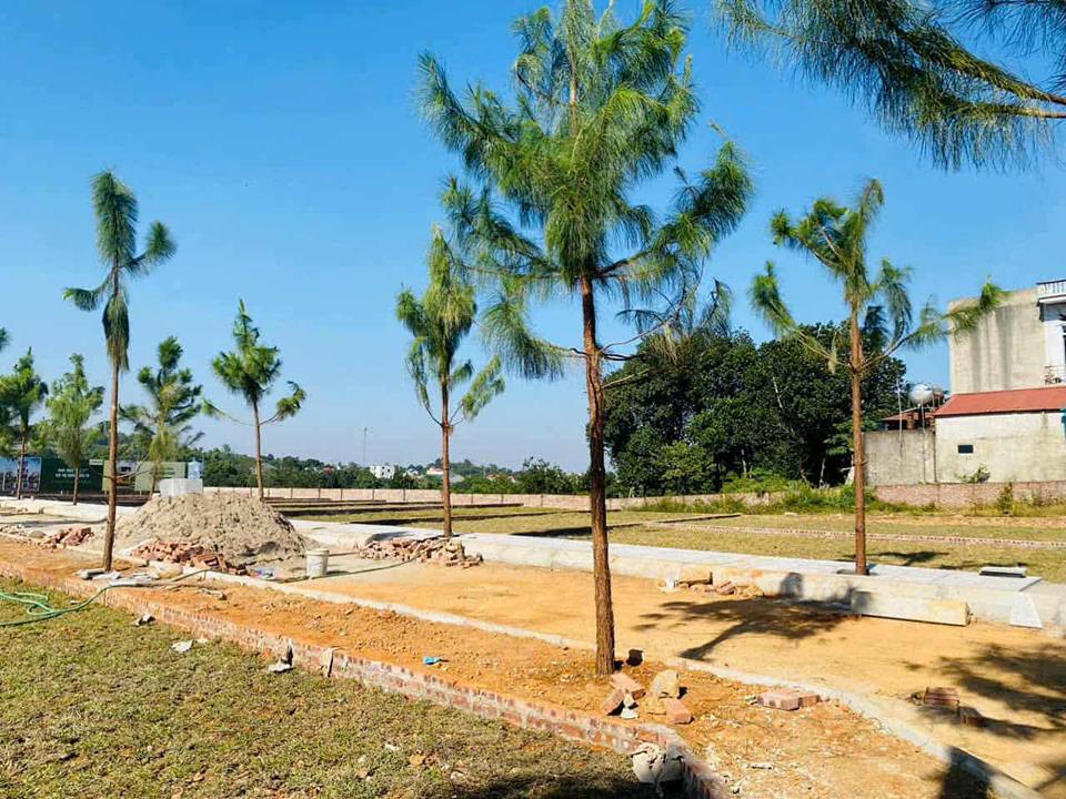 Đất nền Hòa Thạch, Quốc Oai 100m² - Sổ đỏ chính chủ, giá đầu tư tốt!