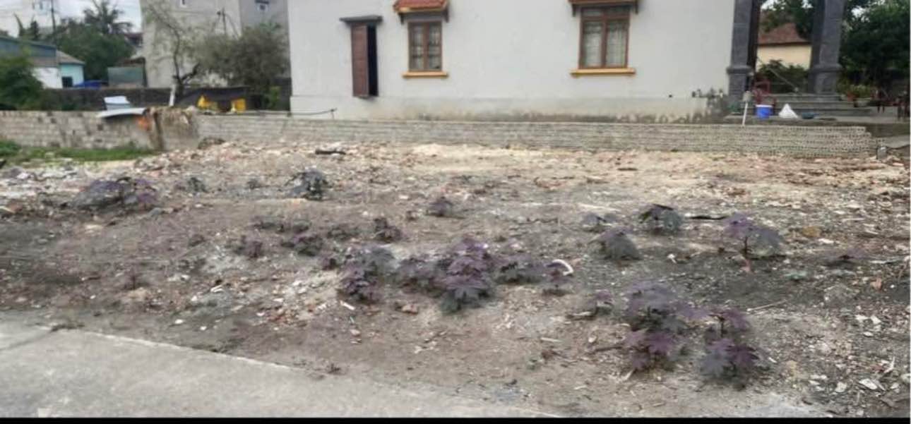 Đất nền Việt Hưng Hạ Long 87,9m² giá 900 triệu - Cơ hội đầu tư hiếm có!