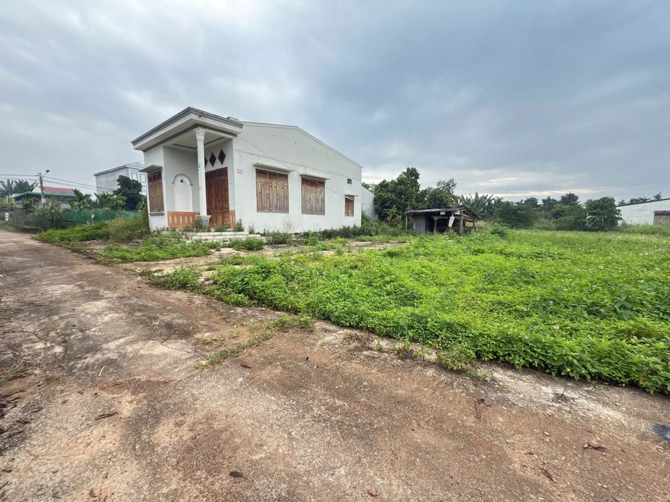 Đất thổ cư Ea Kao 140m² giá 700 triệu - Cơ hội đầu tư hấp dẫn!