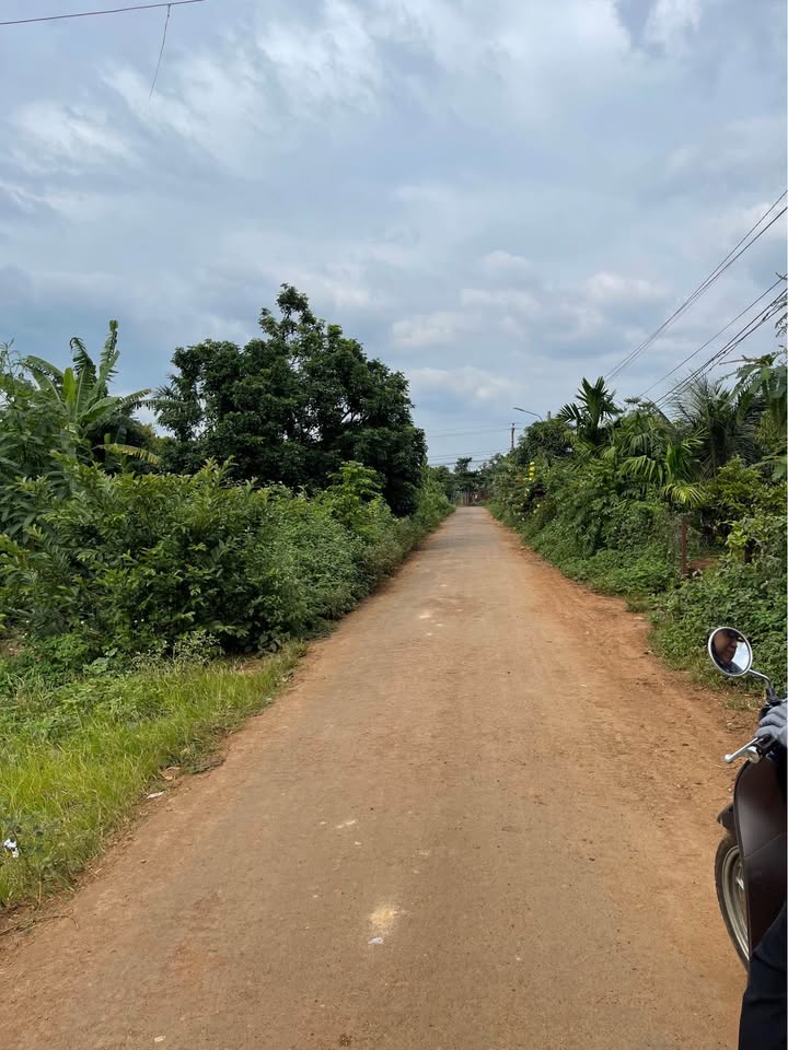 Đất thổ cư Hòa Khánh 115m² giá chỉ 530 triệu - Cơ hội đầu tư tuyệt vời!