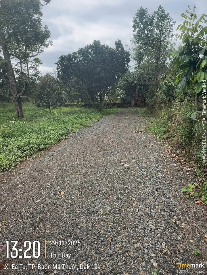 Đất sào Nguyễn Xuân Nguyên - Tân An 500m² giá 590 triệu - Cơ hội đầu tư tuyệt vời!