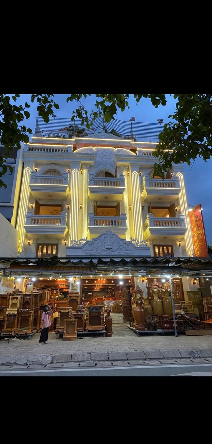 Nhà 1 trệt 2 lầu phố Võ Văn Kiệt 268m² giá 78 tỷ - Tặng nội thất cao cấp!