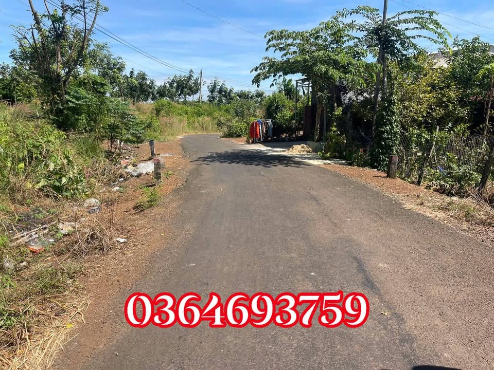 Farm Ấp 5, Bù Đốp 15.300m² giá 700 triệu - Cơ hội đầu tư sinh lời!