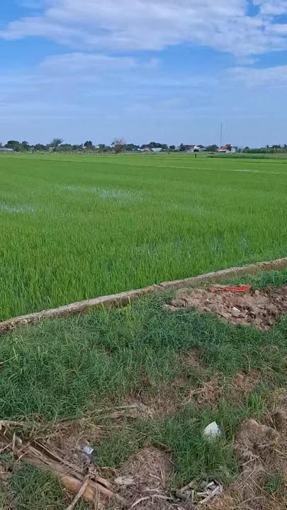 Đất nền Phước An 2, Phước Hậu 16,200m² giá 1,125 tỷ - Đầu tư sinh lời tiềm năng!