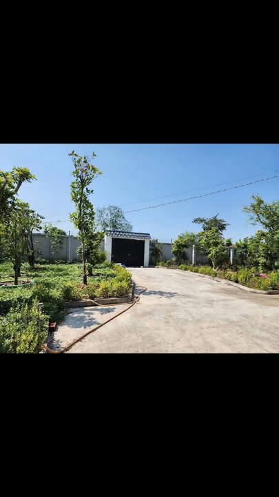 Nhà vườn Phước Hậu, Cần Giuộc 2000m² giá 8.5 tỷ - Nơi nghỉ dưỡng lý tưởng!