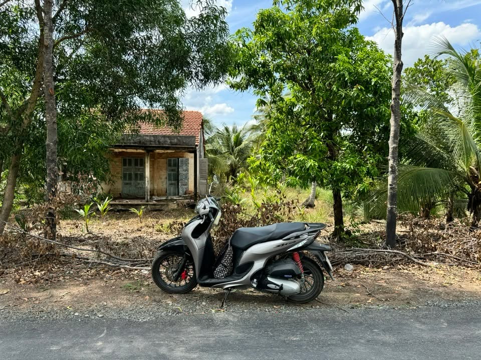 Đất thổ cư 300m² mặt tiền nhựa Lương Hòa, Bến Lức, 2.036m² giá chỉ 255 triệu