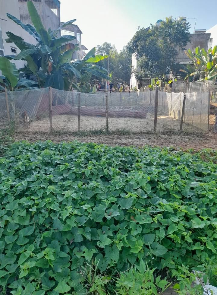 Đất nền 120m² tại tổ 9, phường Ỷ La, Tuyên Quang giá 30 tỷ - Sổ hồng chính chủ