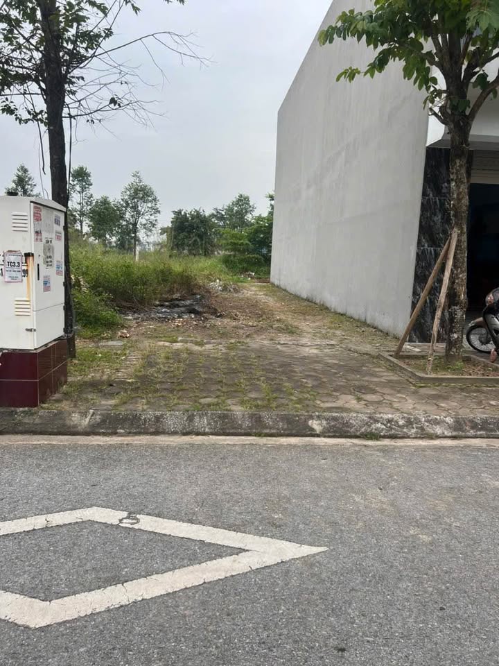 Đất nền Dĩnh Trì Bắc Giang 92m² giá 3 tỷ - Sổ đỏ chính chủ