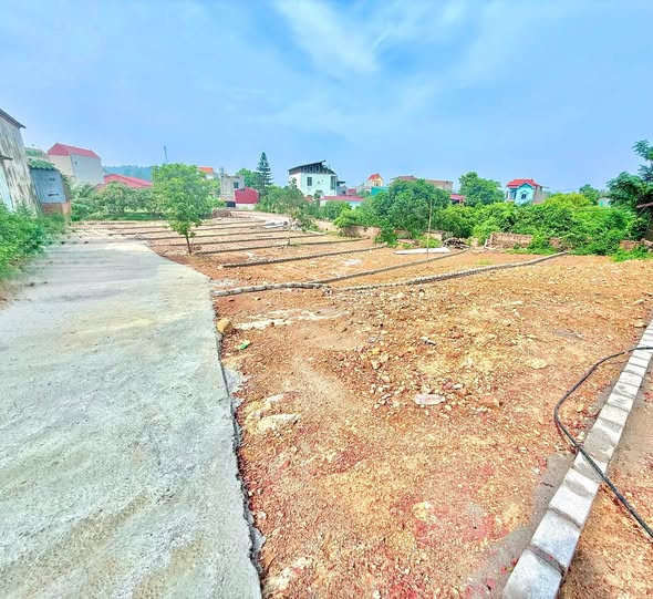 Đất thổ cư TDP Hồng Sơn, phường Tân An 160m² giá 8xx - Cơ hội đầu tư tuyệt vời!