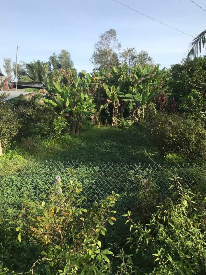 Đất nền Thoại Sơn 360m² giá 1,7 tỷ - Cơ hội đầu tư hấp dẫn!