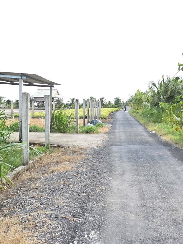 Đất nền 2000m² xã Tân Điền Gò Công giá 1.7 tỷ - Mặt tiền đường nhựa thuận lợi cho xây dựng