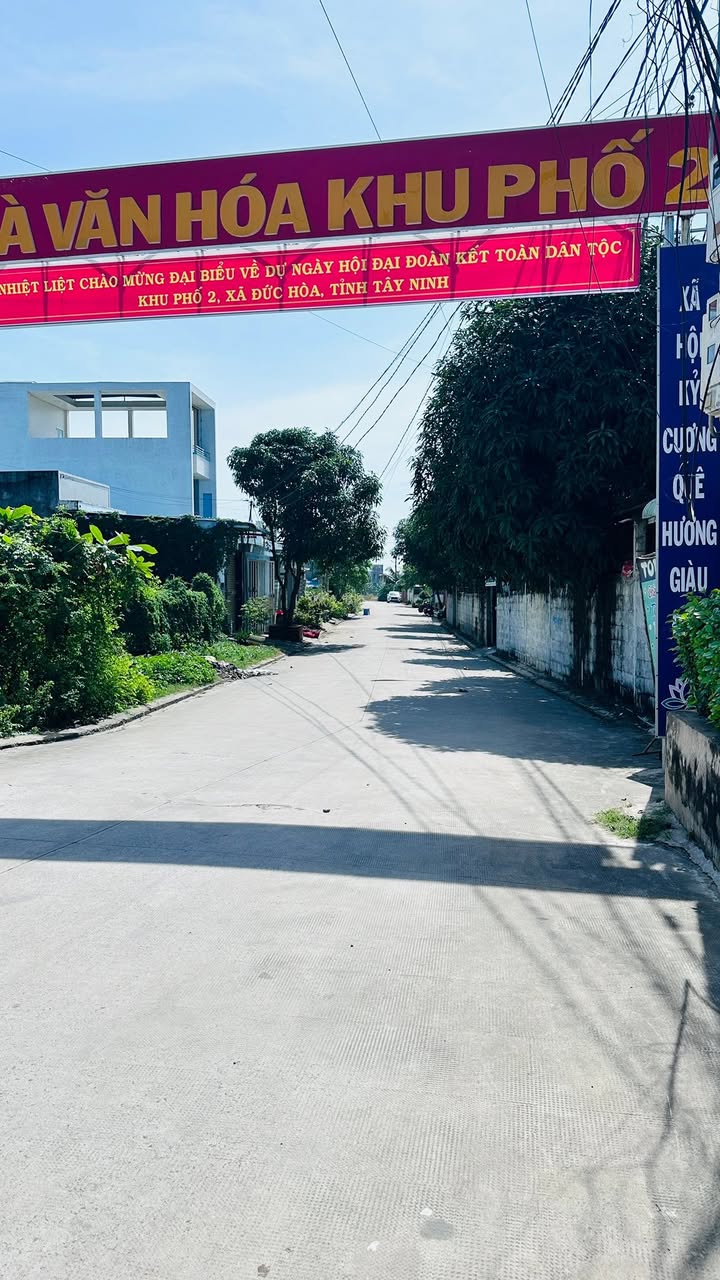 Đất lúa 4.000m² tại ấp Bình Tiền 1, Đức Hòa Hạ - Đường xe tải rộng rãi chỉ 4 tỷ!