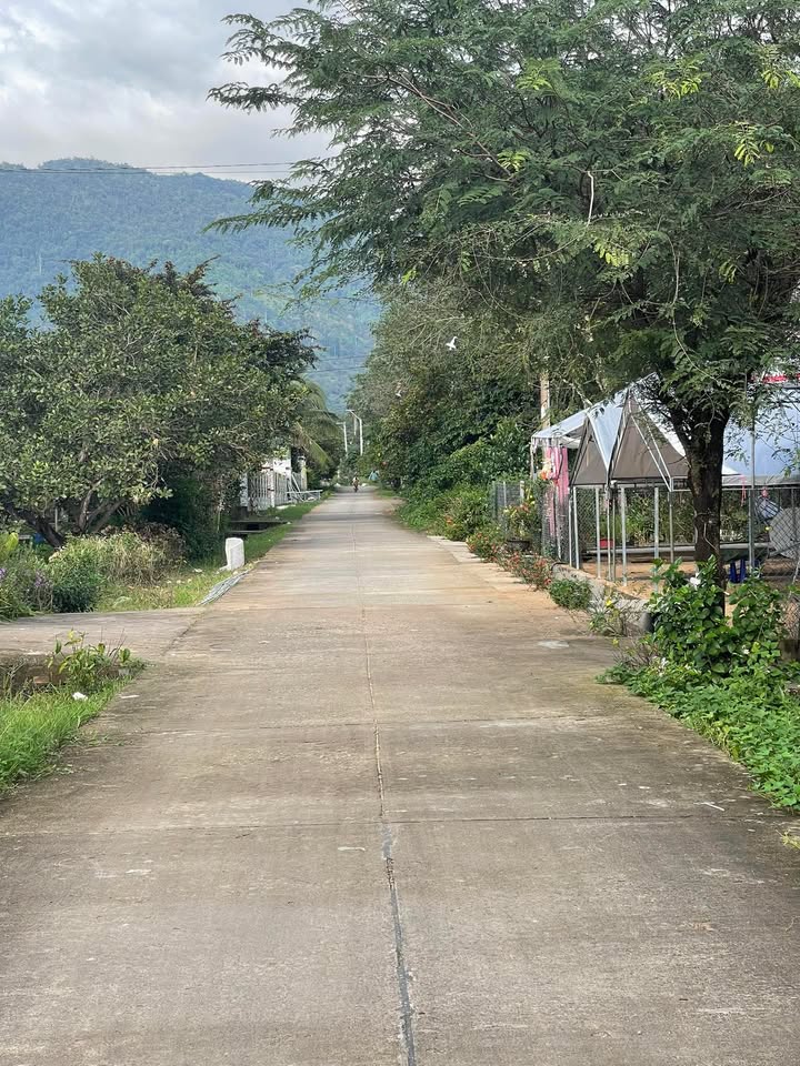 Đất nền thổ cư 203m² tại Bắc Ruộng - Giá chỉ 480 triệu, sổ đỏ riêng!