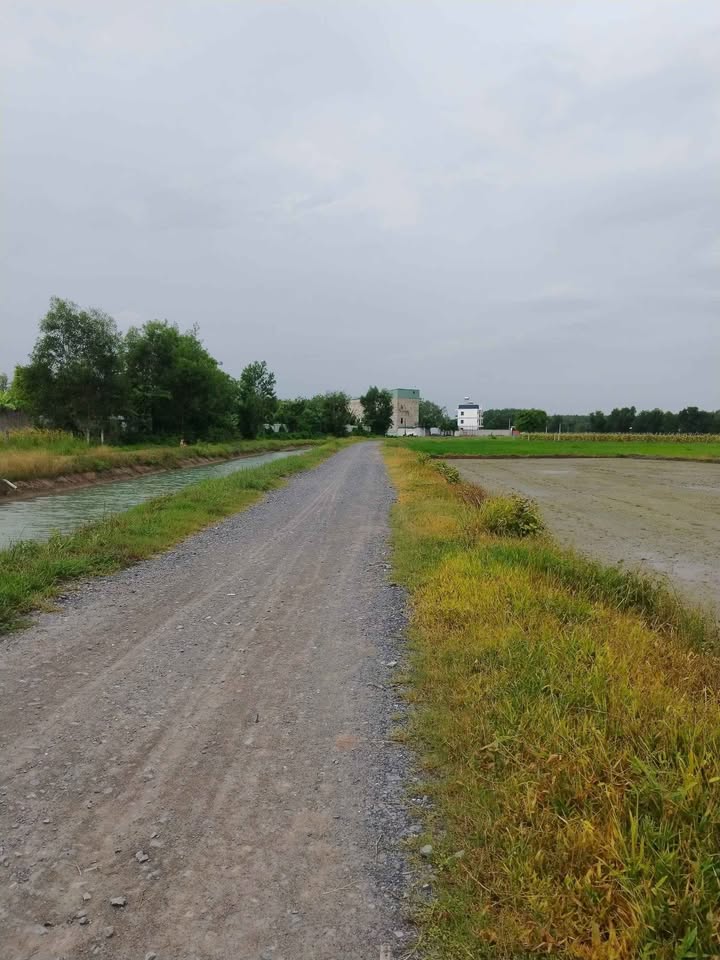 Đất vườn 4408m² mặt tiền đường Bơ Kênh, Củ Chi - Tiềm năng đầu tư lớn!