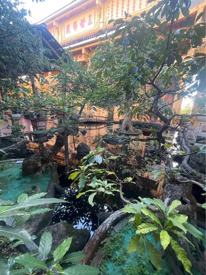 Đất nền An Phú, Pleiku 126m² giá chỉ 400 triệu - Cơ hội đầu tư tuyệt vời!