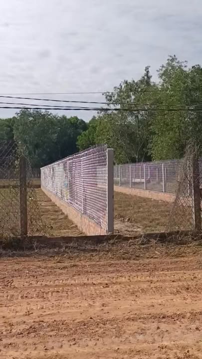 Đất nền Long Chữ Bến Cầu 145m² giá 200 triệu - Đầu tư sinh lời ngay!