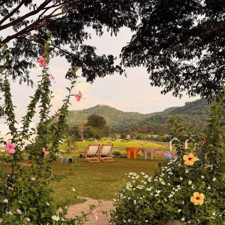 Đất thổ cư 300m² tại Phú Cát, Quốc Oai - Giá chỉ 3 tỷ, gần sân golf!