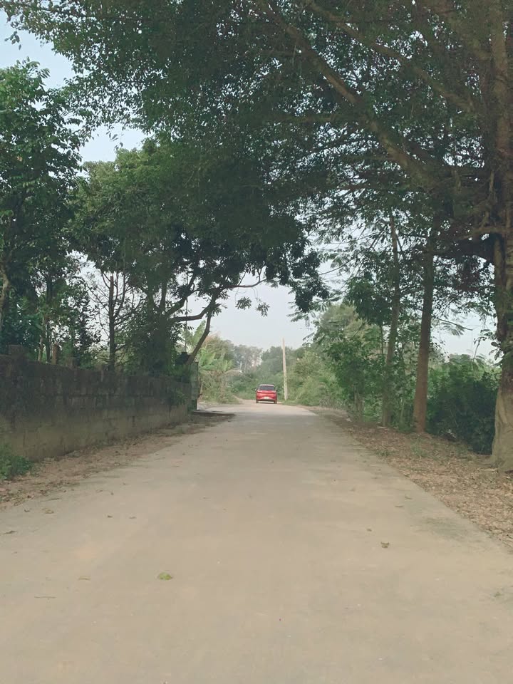 Đất nền Hợp Lý Triệu Sơn 67m² giá chỉ 200 triệu - Sổ hồng chính chủ!