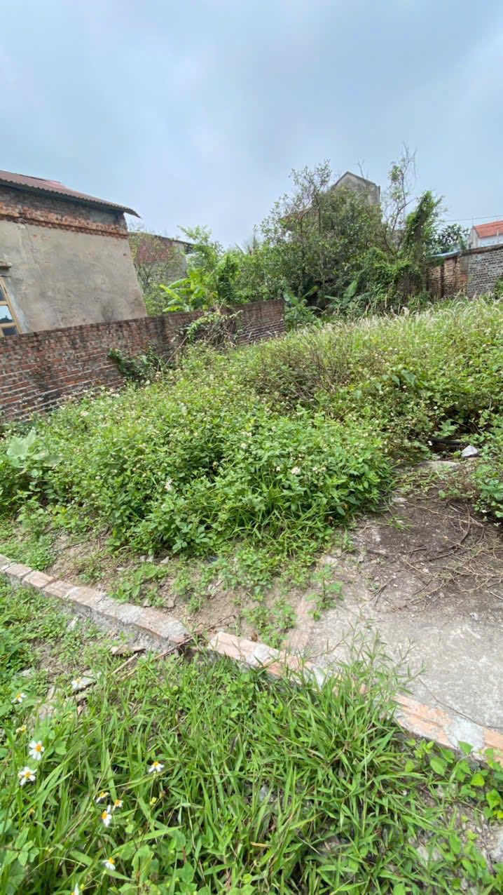 Đất nền Dương Quang, Gia Lâm 70m² giá 1 tỷ - Ngay sát khu công nghiệp!