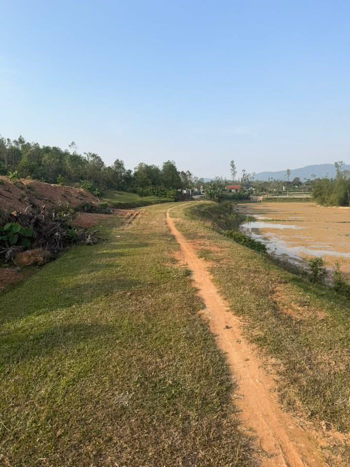 Đất nền Nam Thái, Nam Đàn 600m² giá 700 triệu - Cơ hội đầu tư hấp dẫn!