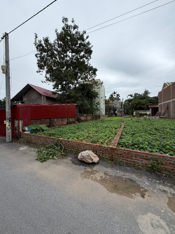 Đất nền Võng Xuyên, Phúc Thọ 82.5m² giá 3 tỷ - Mặt tiền 5.6m, gần trường học