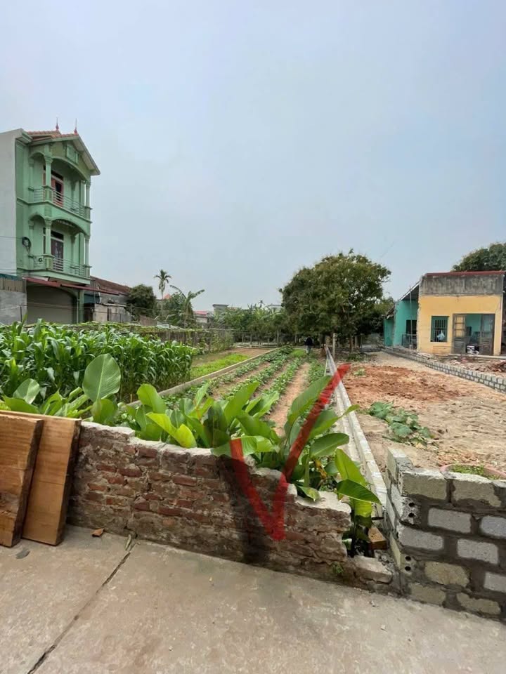 Đất nền Chương Dương 100m² giá 4 tỷ - Vị trí đắc địa, đầu tư sinh lời!