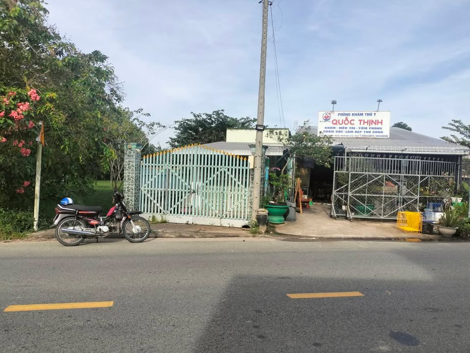 Nhà cấp 4 mặt tiền đường Trung Lập, Củ Chi, 94m² giá 2 tỷ - Kinh doanh thuận lợi!