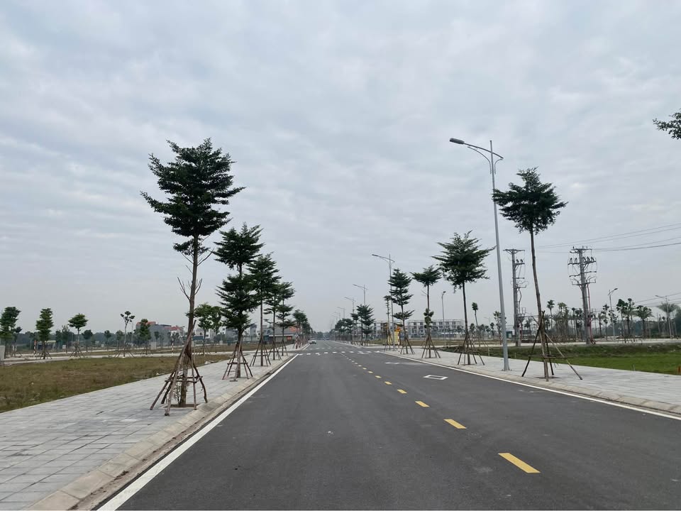 Đất nền khu đô thị Hoàng Lý, Đồng Văn, Duy Tiên - 90m² chỉ 5 tỷ - Đầu tư sinh lời ngay!