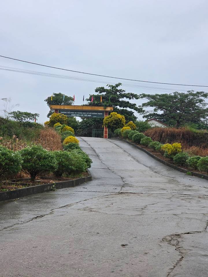 Đất nền Nam Cường Lào Cai 120m² giá 300 triệu - Cơ hội đầu tư sinh lời!