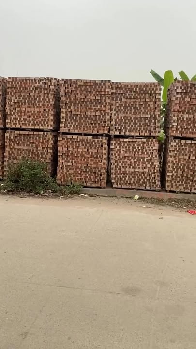 Đất mặt tiền Chỉ Đạo, Văn Lâm, 125m² giá 4.05 tỷ - Đầu tư sinh lời ngay!