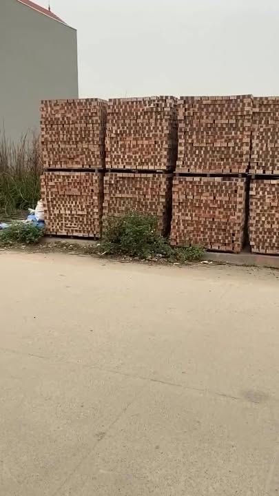 Đất mặt tiền Trịnh Xá, Chỉ Đạo, 125m² giá 4.05 tỷ - Phù hợp kinh doanh, nhà ở!